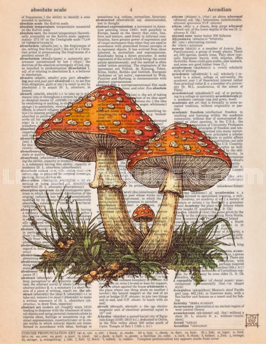 Orange Mushroom II image 0