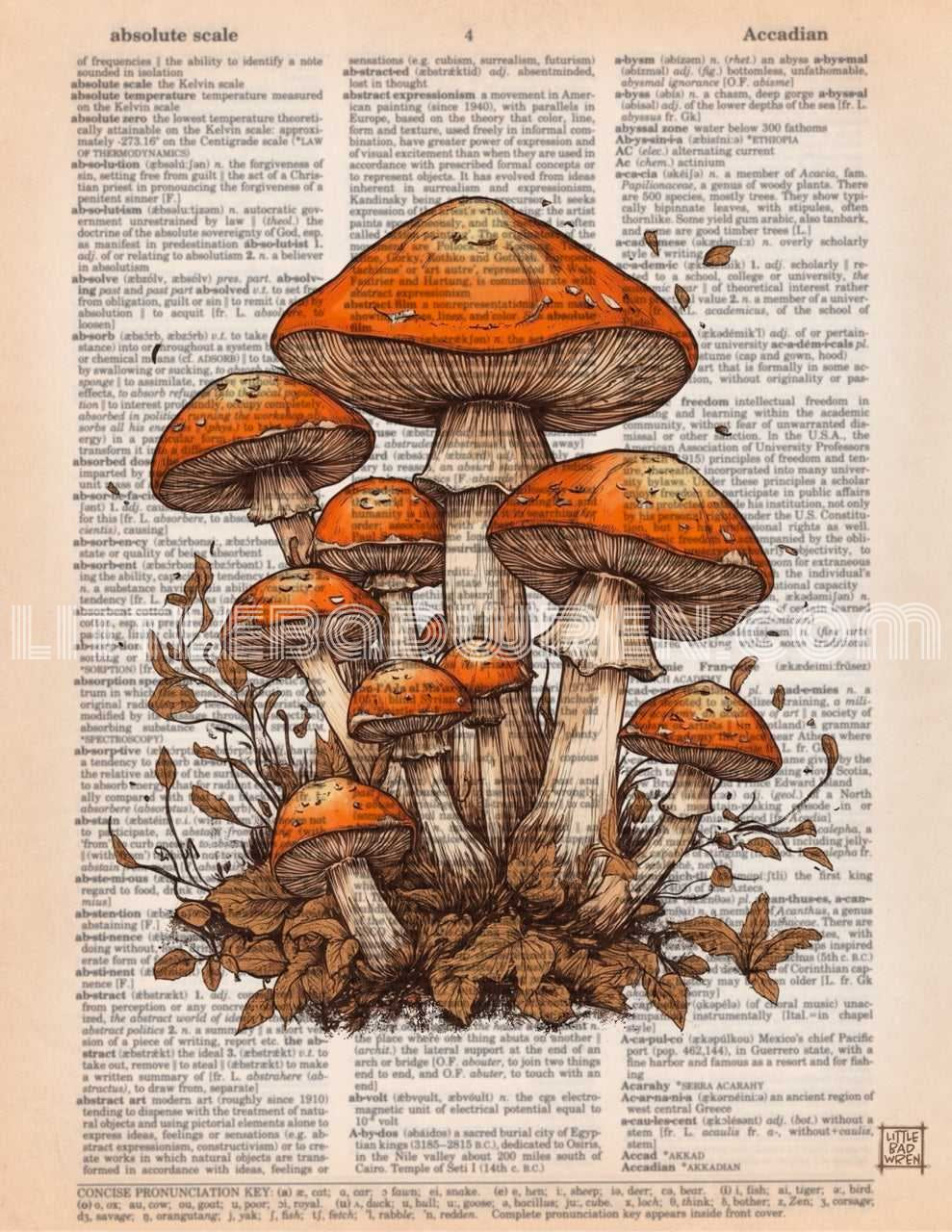 Orange Mushroom I image 0