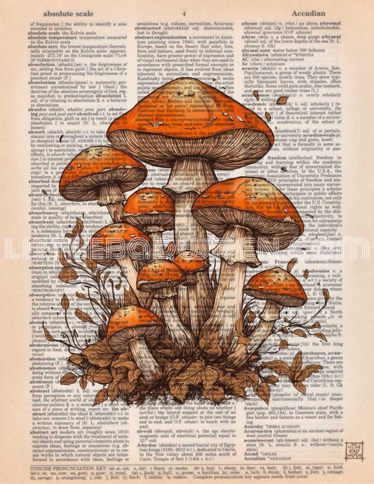 Orange Mushroom I image 0