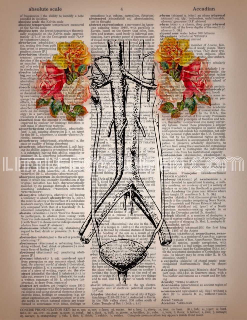 Flowering Kidneys image 0