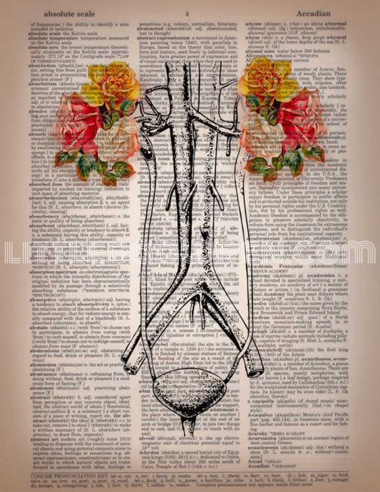 Flowering Kidneys image 0