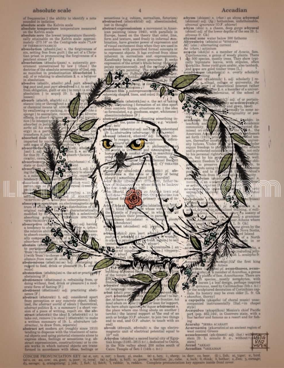 Hedwig image 0