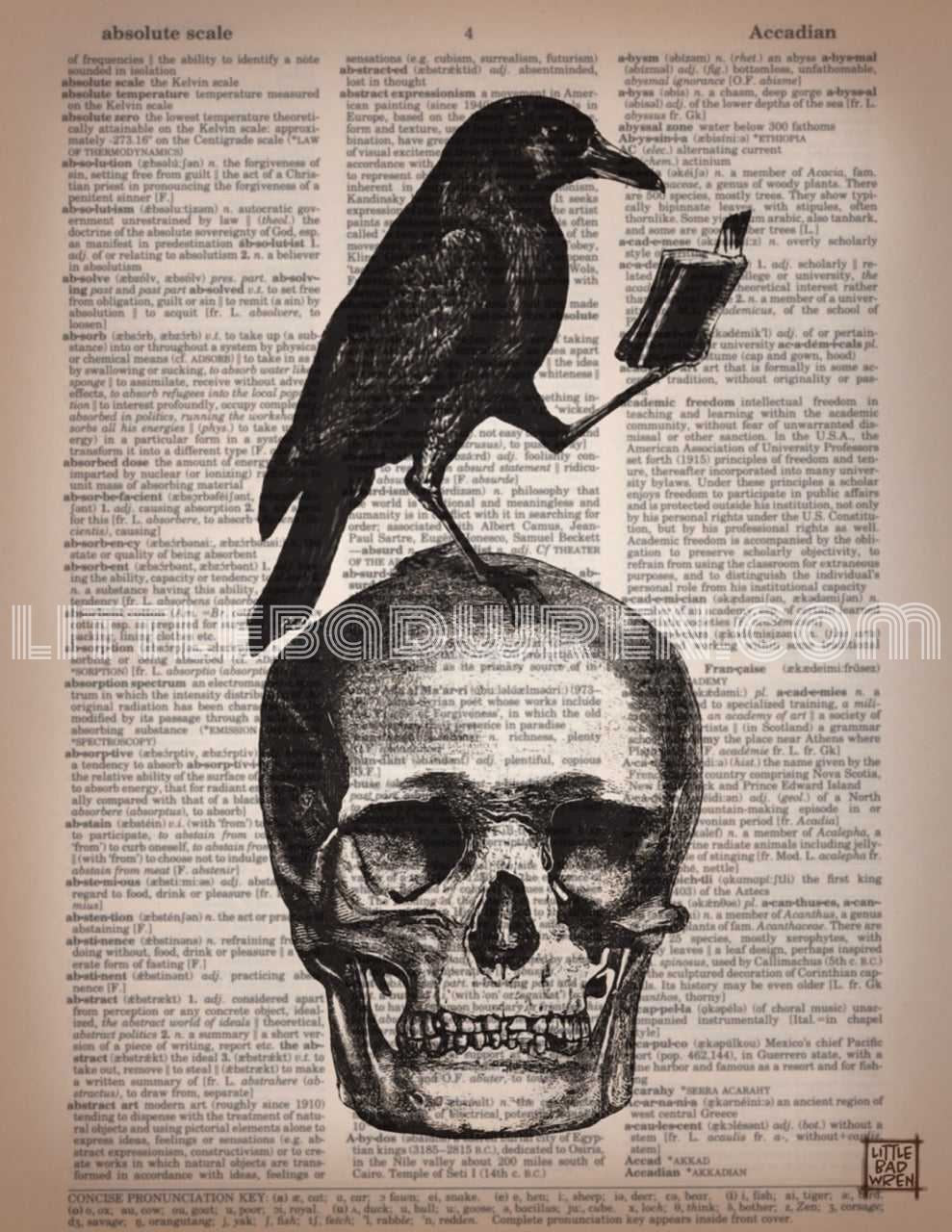 Reading Raven image 0