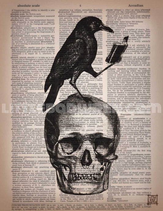 Reading Raven image 0