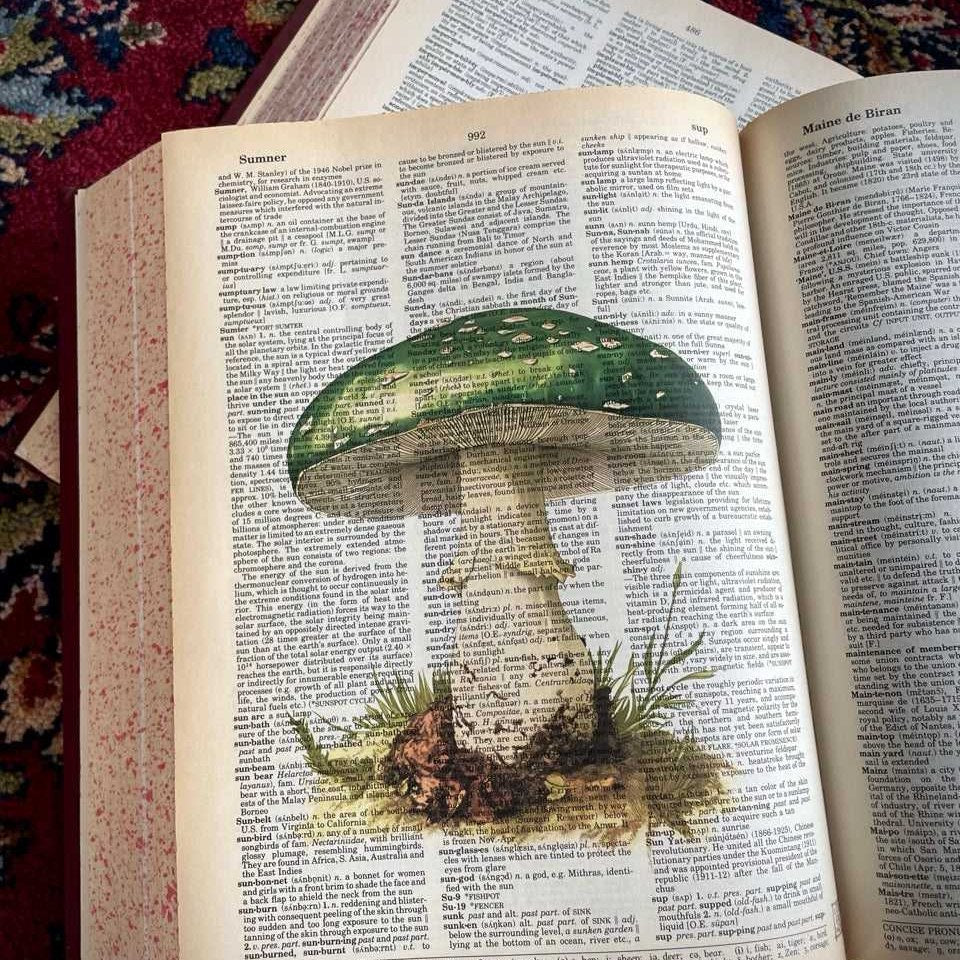 Green Mushroom image 2